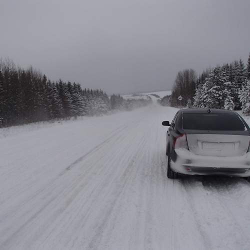 Photo #5668801