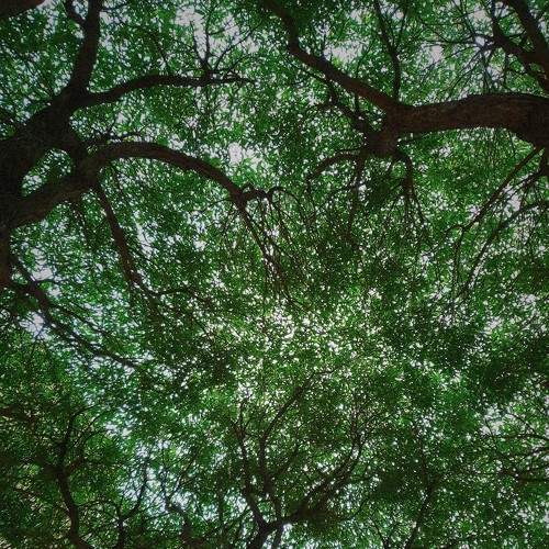 Photo #5668841