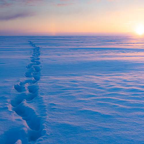 Photo #5668937