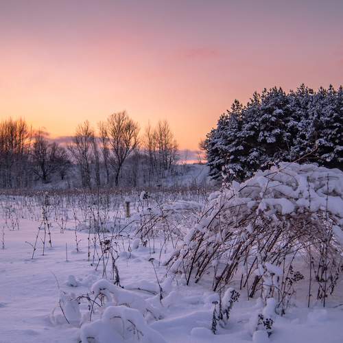 Photo #5669039