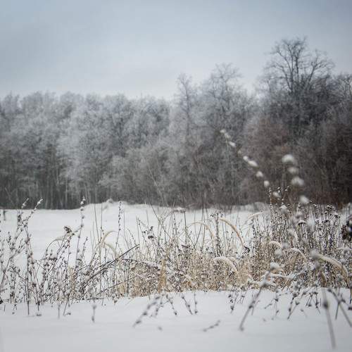 Photo #5669068