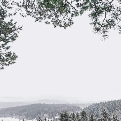 Photo #5669207