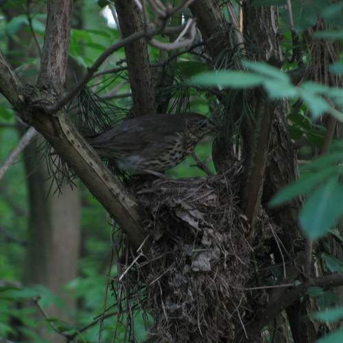 Photo #5669251
