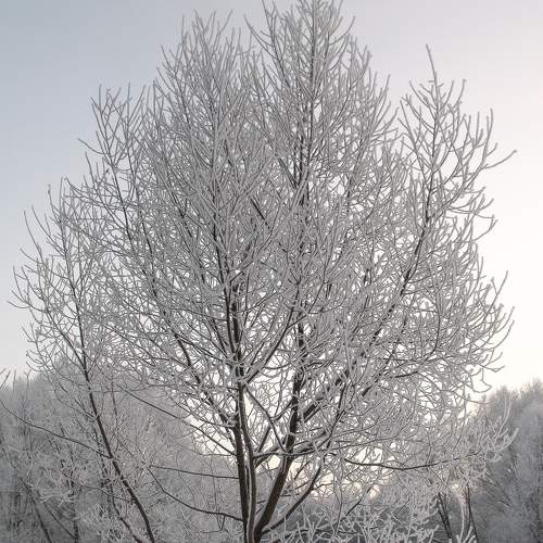 Photo #5669439