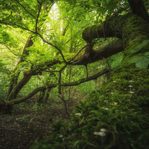 Photo #5669448