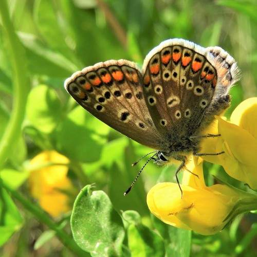 Photo #5669683