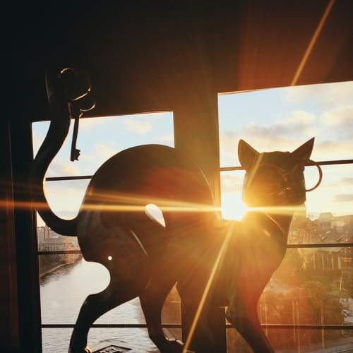 Photo #5669712