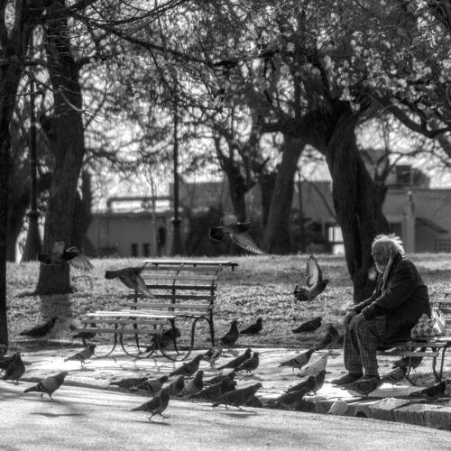 Фотография #5669720