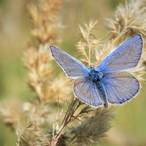 Photo #5669751