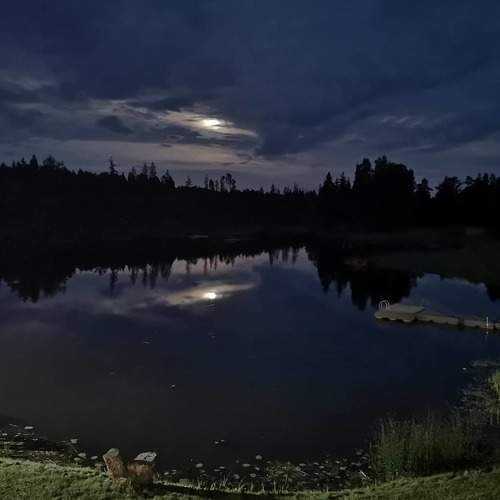 Photo #5669770