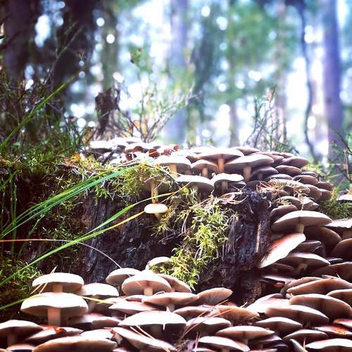 Photo #5669786