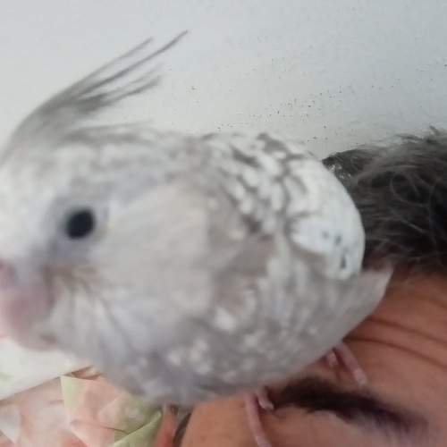 Photo #5669804