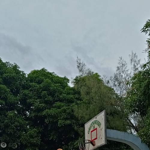 Photo #5670148