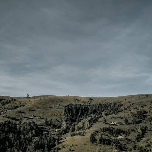 Photo #5670153