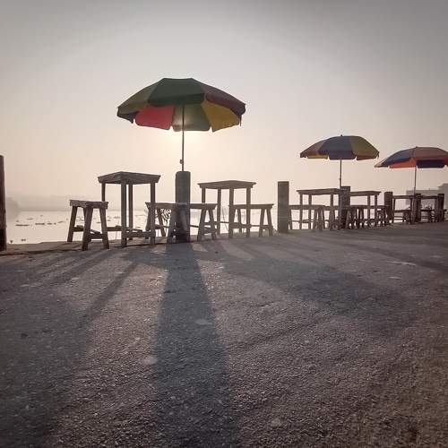 Photo #5670249