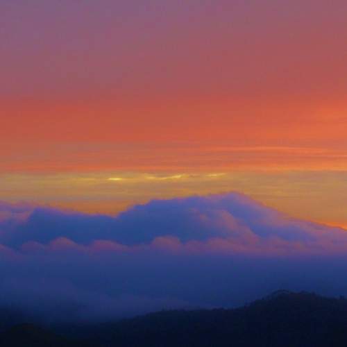 Photo #5670311