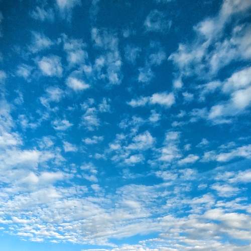 Photo #5670413
