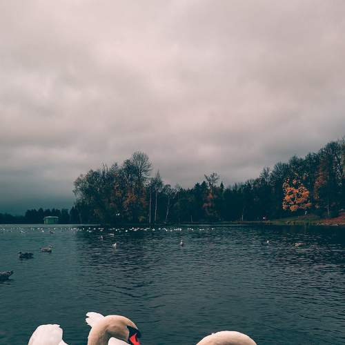 Photo #5670676