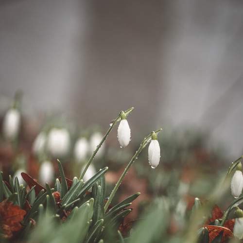 Photo #5670867