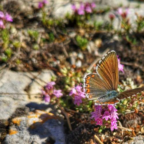 Photo #5670914