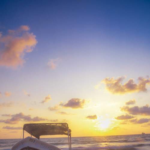 Photo #5671150