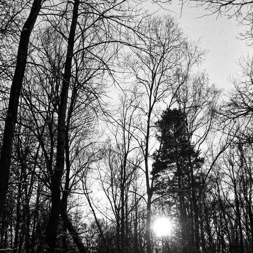 Photo #5671206