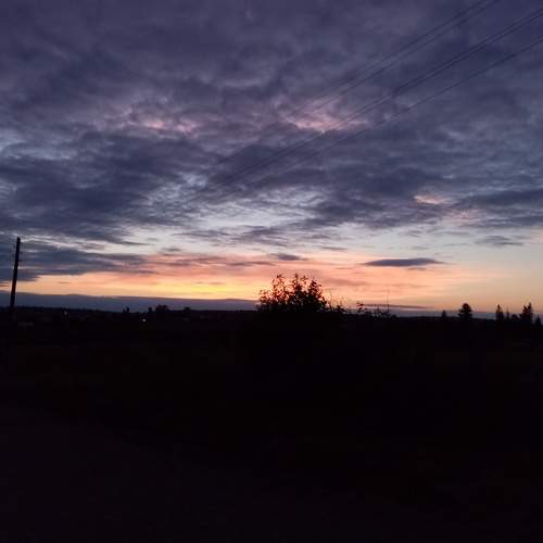 Photo #5671243