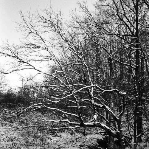 Photo #5671252