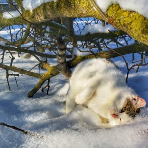 Photo #5671460