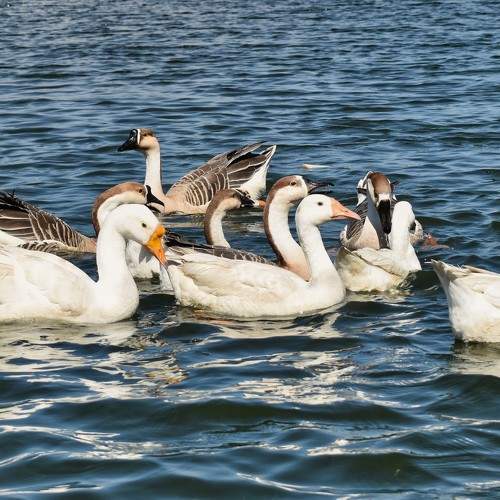 Photo #5671559
