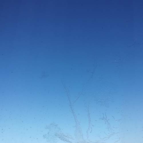 Photo #5671609