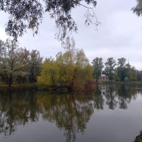Photo #5671675