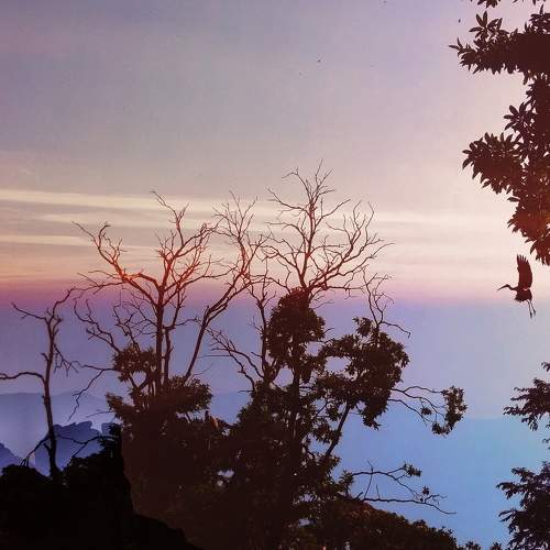 Beauty of Nature