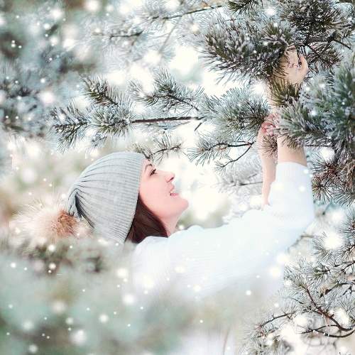 Photo #5671835