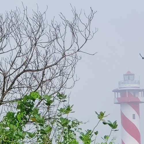 Photo #5672237