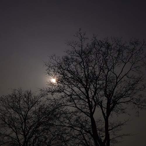 Photo #5672239