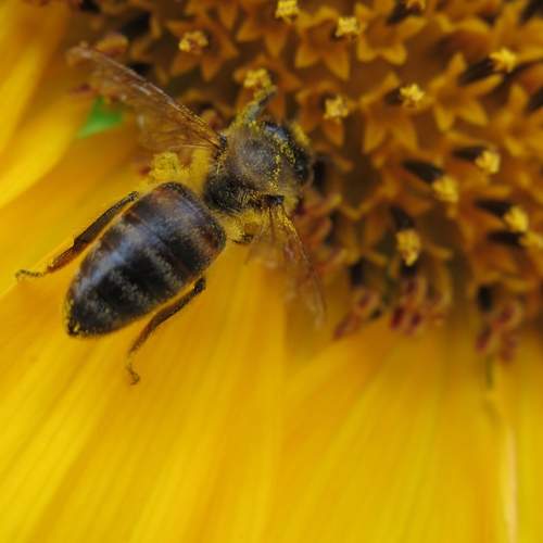 Photo #5672544