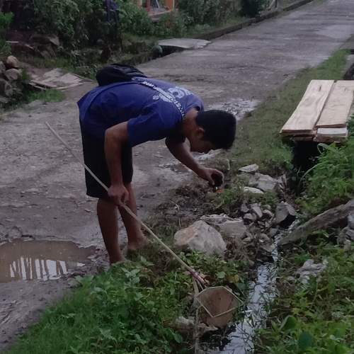 Looking for Fish Food