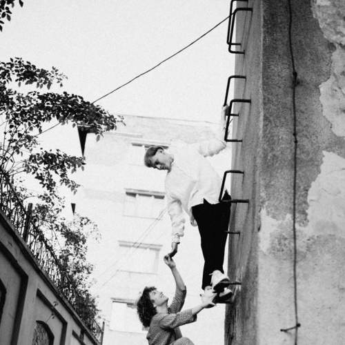 Photo #5673055