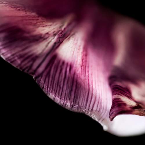 Photo #5673101