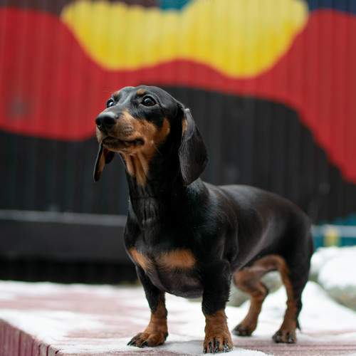 Photo #5673354