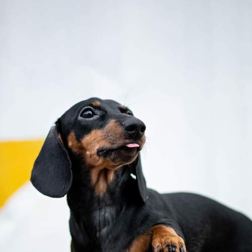 Photo #5673373
