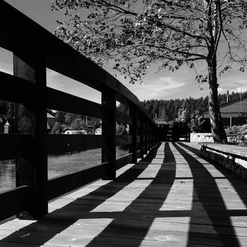 Photo #5673987