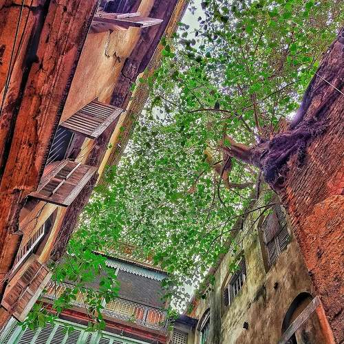Photo #5674384