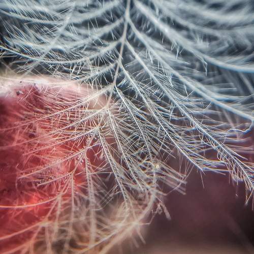 Photo #5674401