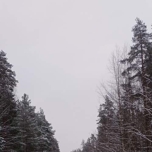 Photo #5674508