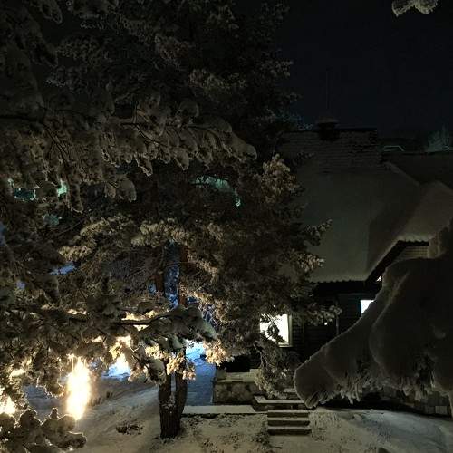 Night winter silence