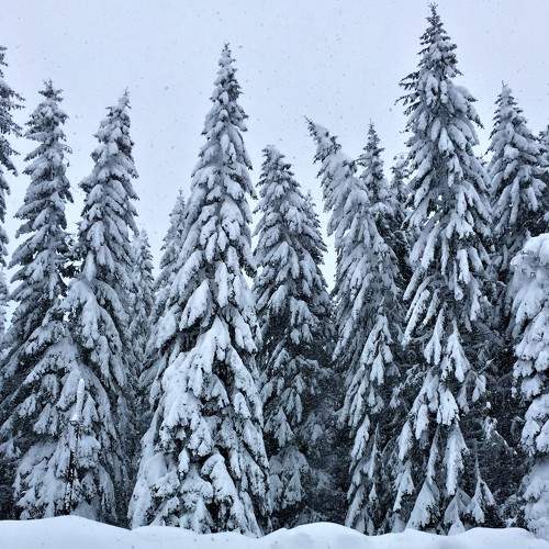 Photo #5674557