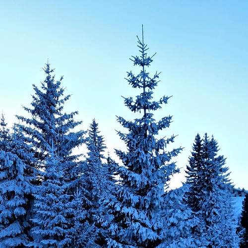 Photo #5674559
