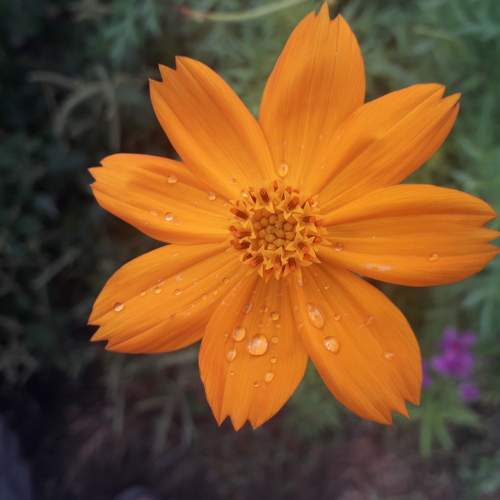 Photo #5674896